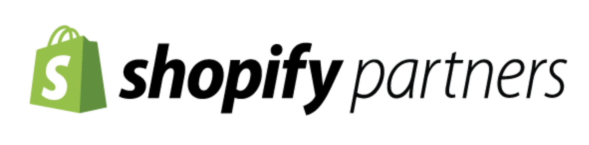 Shopify Partner