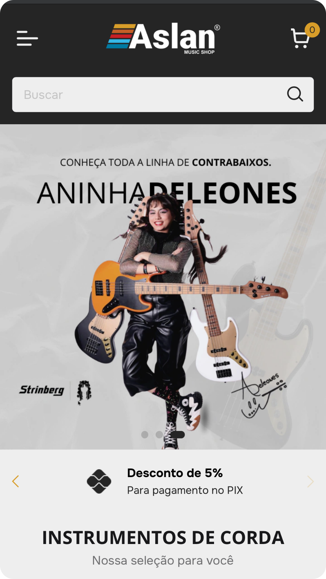 Loja Aslan Music Shop